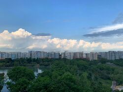 Blk 530 Pasir Ris Drive 1 (Pasir Ris), HDB Executive #556335001